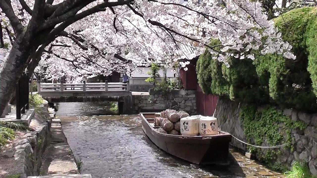 Kyoto Miyabi Hotel Exterior photo